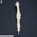 5Pcs White Femur Finger Spine Tibia Fibula Bone Ball Pen Nurse Radiographer Gift Blue Ink B017TR9A20